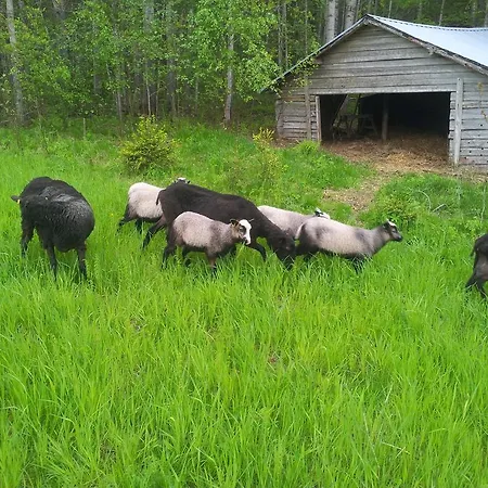 Toppala Farm Farma *